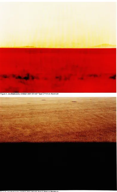 Figure 5. Joe Bialkowsky Untitled 200130"x40" Type C Print on Aluminum