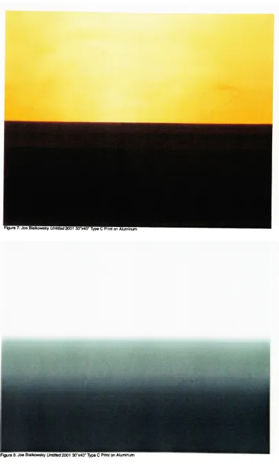 Figure 8. Joe Bialkowsky Untitled 2001 30"x40" Type C Print on Aluminum