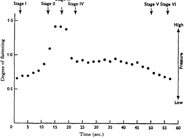 Fig. 3. Pressure changes within the trunk cavity of Acanthocephalus ranae recorded by the firstmethod