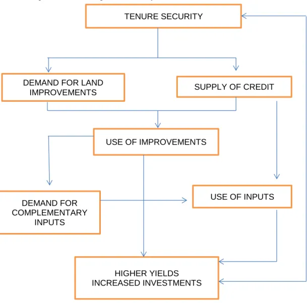 Figure 5.2: Conceptual model linking tenure security with investment 