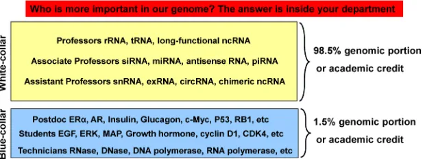 Fig 2: Illustration of the relationship between ncRNAs and mRNAs with an academic biomedical department as an analogy