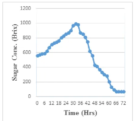 Figure 2. Sugar concentration (Brix) against time (Hrs.) 