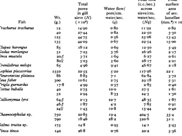 Table 4. Total gill areas of the fish used in the present work together vrith calculationsof the flow through the sieve based upon the modified Poiseuille equation