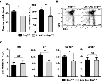Figure 3. significance. *, Bsg Targeted disruption of the basigin resulted in a decrease in thymic cellularity