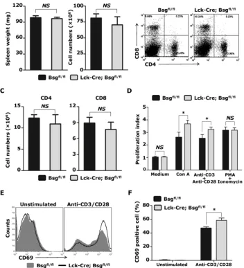 Figure 4.  Analysis of peripheral T cells from Lck-Cre; Bsgfl/fl mice and their control mice