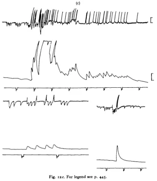 Fig. I2c. For legend see p. 445.
