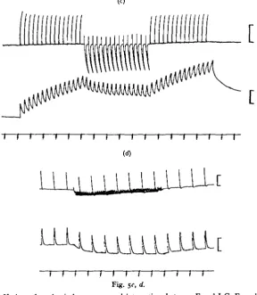 Fig. 5<-. <*•