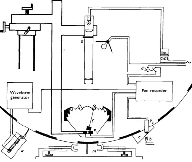 Fig. 1. Arrangement for making and recording the drum and eye movements. The crab isclamped relative to the drum with the eye at the centre