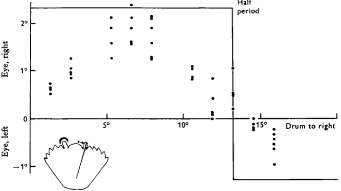 Fig. 3. Results of the memory experiment upon one particular crab which seemed to give noemphasis to edges although the seeing eye was free to move in tremor.