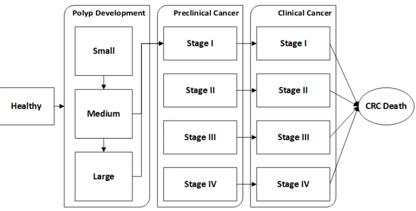 Figure 1.2 NC-CRC simulation natural history progression