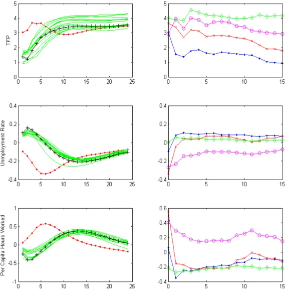 Figure 1: Impulse response functions