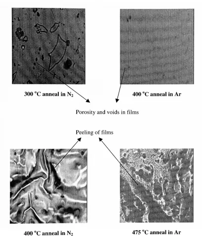 Figure 3.2: Optical micrographs of annealed films at 40X magnification