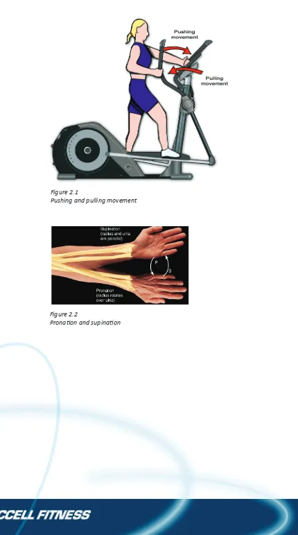 Figure 2.2Prona�on and supina�on