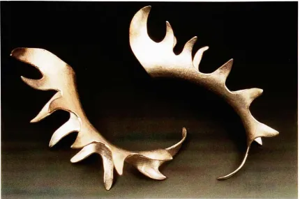 Fig. 8Rhythm ofVenus -earrings