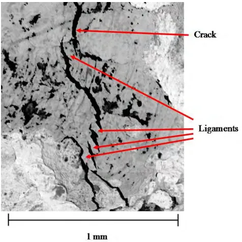 Fig. 1  Electron Image of Portion of PWSCC on the Wetted Surface Examined for a Leakage Path  in North Anna 2 CRDM Nozzle 31 