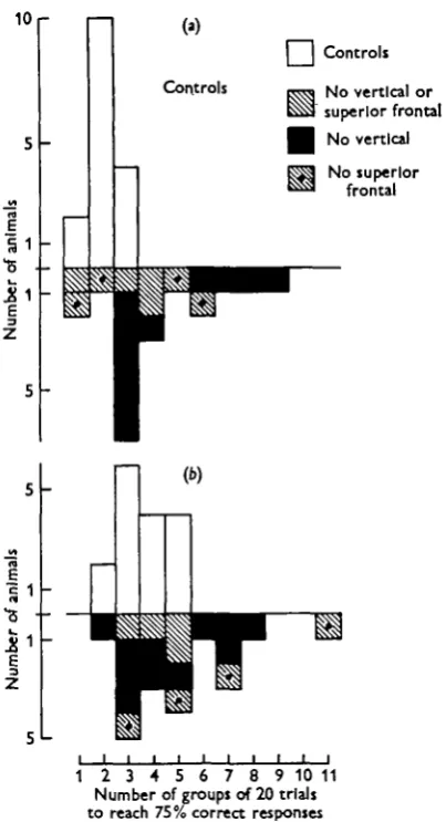 Fig. 5. Summarizing the results of reversal experiments with 16 control and 19 experimentalflnimaln, plotted as Fig
