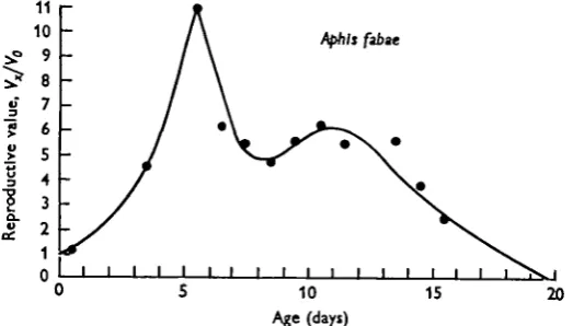 Fig. 5. Reproductive values for Aphis fabae as a function of age in days from birth.