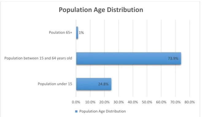 Figure 2.1 Saudi Arabia population age distribution. 