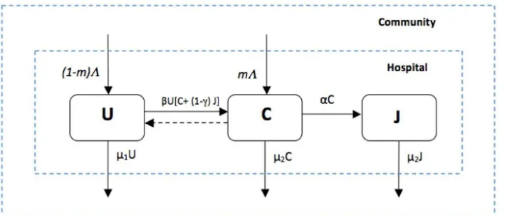 Figure 1: Compartmental VRE model