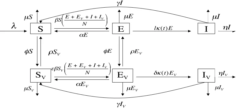 Figure 10: Pneumococcal infection dynamics with vaccination.