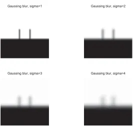 Figure 4.10: The values for every pixel at the centre of the prickle.
