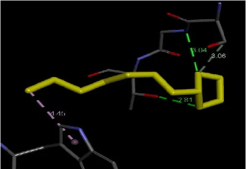 Fig. 11. Interaction of Benzoic acid, 4-methyl-2-trimethylsilyloxy-, trimethylsilyl ester with Penicillin binding protein 