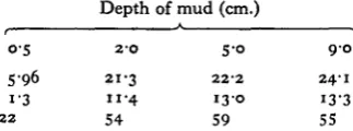 Fig. 4. Numbers of burrows appearing in the different depths of mud during the 'low-density' experiments