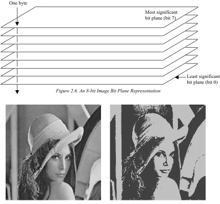 Figure 2.6. An 8-bit Image Bit Plane Representation 