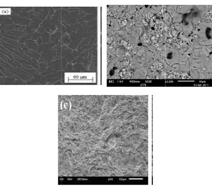 Fig. 9. SEm Micrographs of Al 1100 alloy with and without corrosion in HCL and NaCl solutionSEm Micrographs of Al 1100 alloy with and without corrosion in HCL and NaCl solutionSEm Micrographs of Al 1100 alloy with and without corrosion in HCL and NaCl solution   