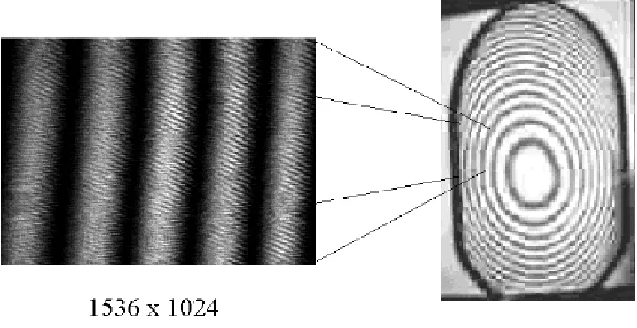Figure 6: Image on the left taken by the monochrome digital camera  