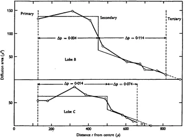 Fig. 7. Summed cross-sectional area of the tracheal tubes in lobes Bfunction of the distance from the equivalent axes of the primary tube