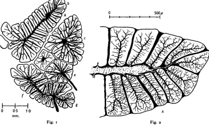Fig. 1Fig. 3
