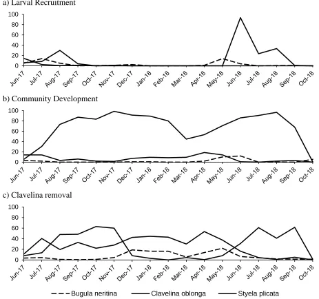 Figure 3: Mean percent cover (N = 3-4 for a given sample date) of three of the most abundant species on a) LR, b) CD and c) CR plates across sampling period