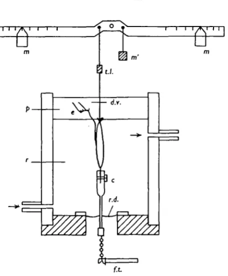 Fig. 11 shows superimposed curves of Po-8,to infinity, as in the isometric twitch of which the earlier part is shown on the samecomes earlier, although at about the same (negative) power