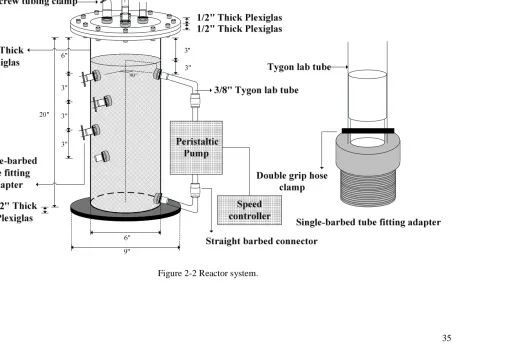 Figure 2-2 Reactor system. 