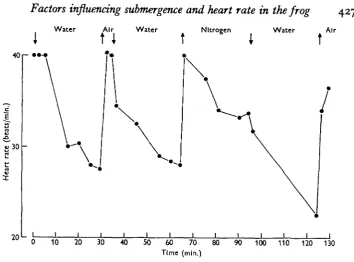 Fig. 9. Bradycardia produced by submersion of a frog before (a) and after (6) bilateralvagotomy
