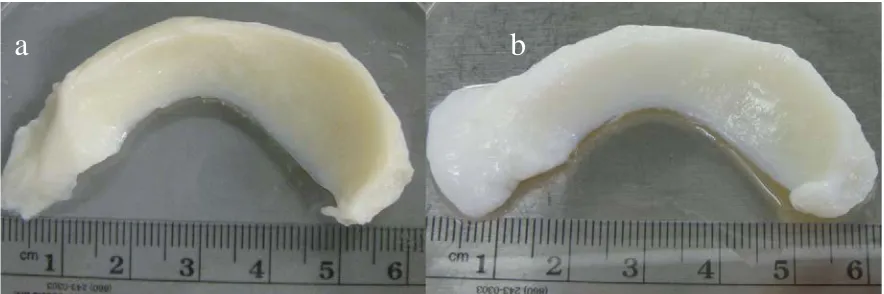 Figure 1-2. Gross inspection of human meniscus before decellularization (a) and after 
