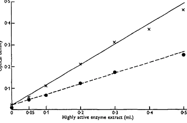Fig. 1. Relation between optical density and enzyme concentration.