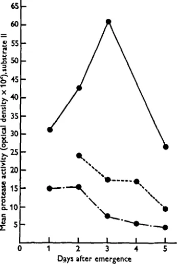Fig. 3. Means of protease activity plotted against time after emergence. Substrate II