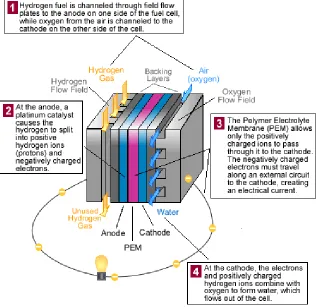 Figure 1. Illustration of a PEM fuel cell1