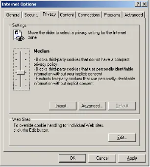 Fig. 2.3 Change the Privacy Level to Enable Cookies 