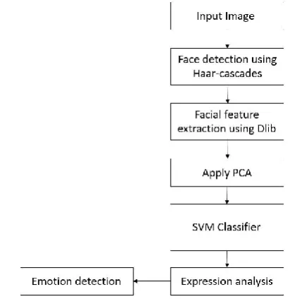 Figure 8. Emotion detection system[4] 