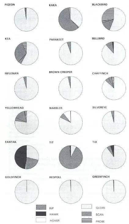 Figure 3. Foraging methods of South Westland forestbirds (for sample sizes see Table 1).