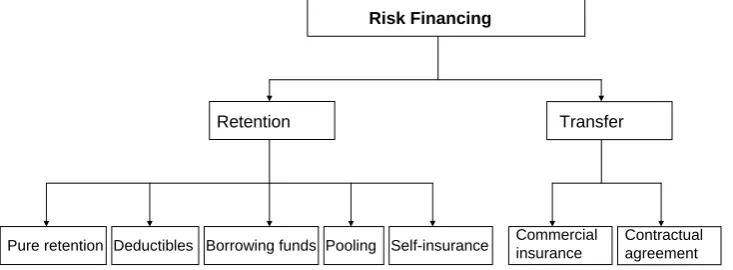 Figure 9: Risk Financing  