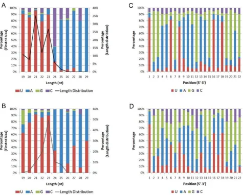 Figure 2. First nucleotide bias and position nucleotide bias. The first nucleotide bias of the miRNAs in H