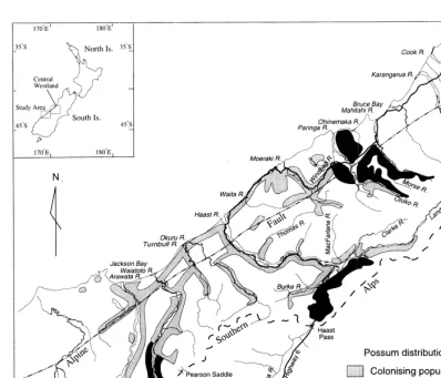 Figure 1: Minimum distribution and status of brushtail possum populations, and location of the study area between theMahitahi and Arawata Rivers, South Westland, 1989-1990