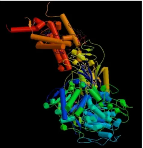 Figure 3. The three-dimensional structure of protein 1KQG. 