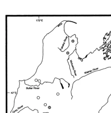 Figure 2: The location of sample sites in the northern Southcircles are sites from which yellowheads have not recentlybeen recorded, but which appear to be good yellowheadIsland
