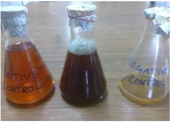 Figure 1: Visual Observation of Formation of SeNps 