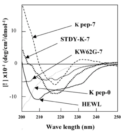 Fig. 3. AFM and TEM images of the K peptide in comparison with other substances. A (K pep-7), the K peptide incubated for 7 days at pH 4.0; B (HEWL-14), HEWL incubated for 14 days at pH 2.0; C (STDY-K-7), the STDY-K peptide incubated for 7 days at pH 2.0; 